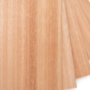 Plywood Euca Mahogny 2,0mm 600x300mm