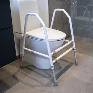 Toalettstöd